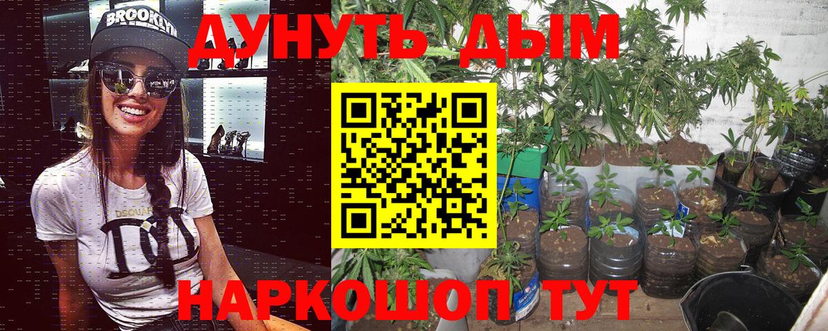 Борисоглебск  Каннабис конопля  Бошки Шишки VHQ  Бошки Шишки White Widow  Канабис OG Kush  Вход с VPN 
